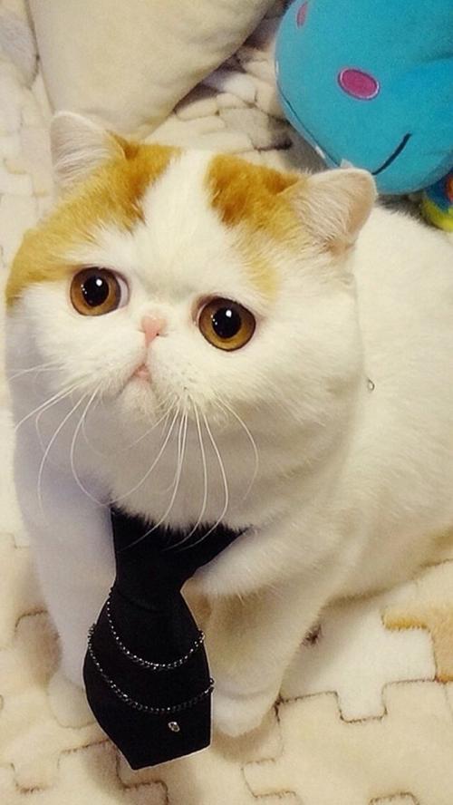 ޵ǵ1 ڹ˹Ǻ˵վݹر