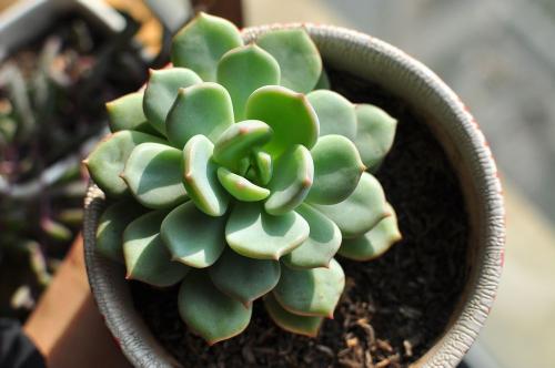 һ980!֣ݾһСթƭŻ