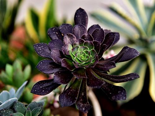 һܲƾ:ծȯͨƿɴ йڿһ